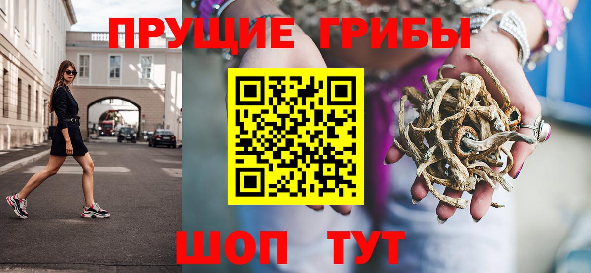 Кисловодск  Псилоцибиновые грибы GOLDEN TEACHER  Вход с VPN 
